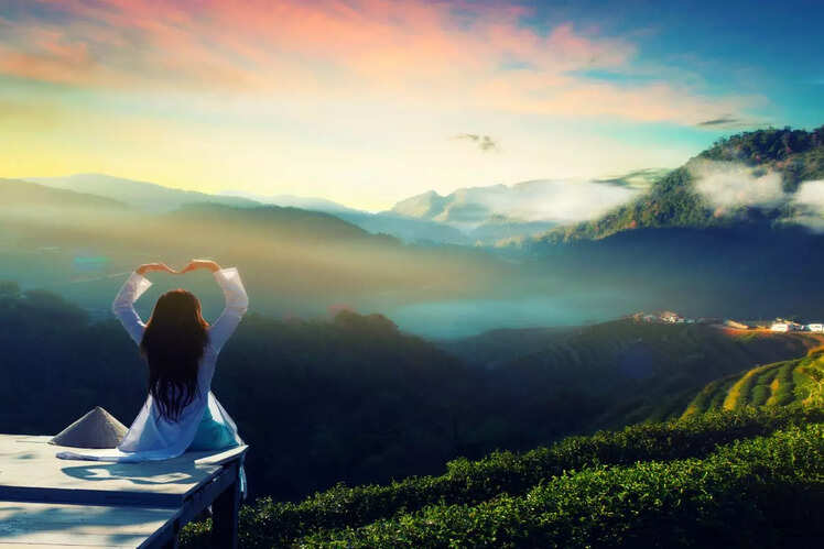Take in the views of lush greenery