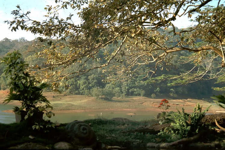 Visit the popular hill stations in Kerala