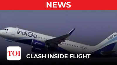 Indigo Airlines bans CPM leader and Youth Congress activists over clash inside flight