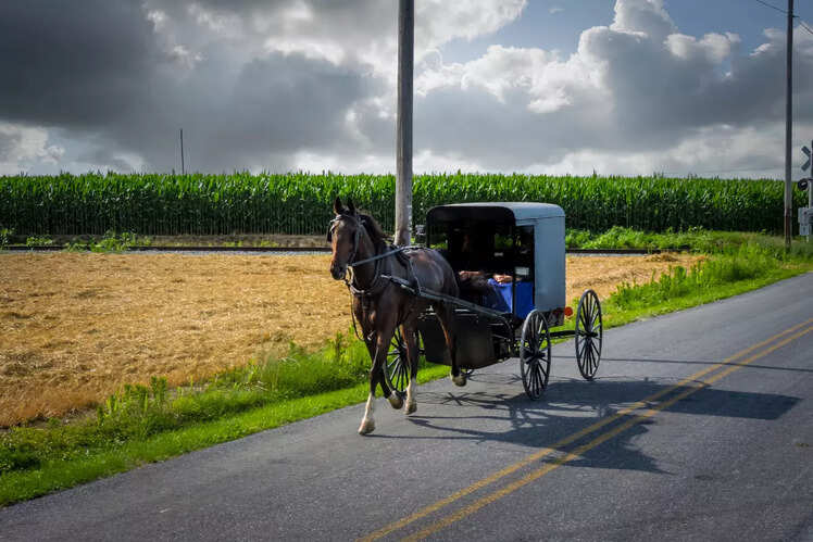Horse and buggy rides, US