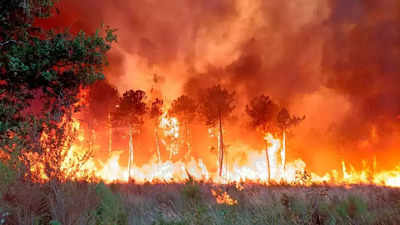 Thousands more evacuated near French forest fire