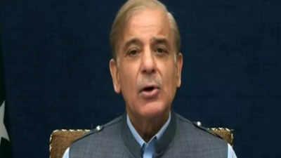Trouble mounts for Shehbaz govt as Imran party wins Punjab bypolls, Pak rupee hits all-time low