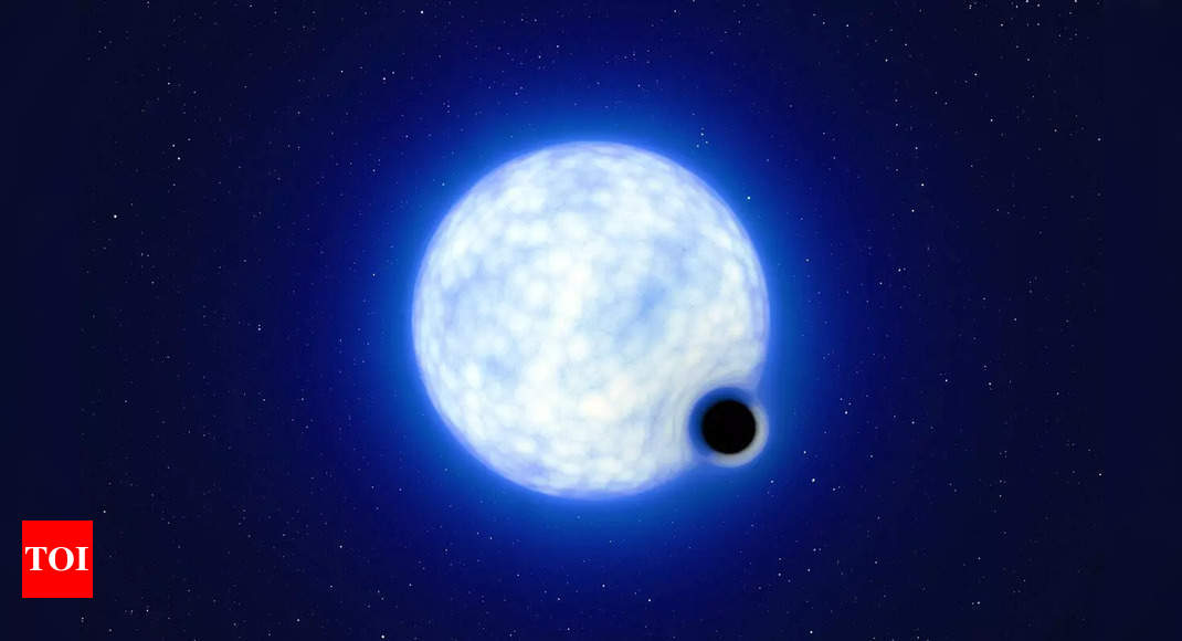 Des scientifiques découvrent un trou noir exotique considéré comme une « aiguille dans une botte de foin »