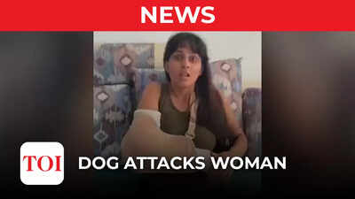Noida: Stray dogs attack woman in society’s basement, wrist fractured