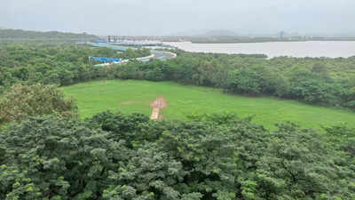 Navi Mumbai: Cidco puts CRZ plot for sale, greens write to CMO