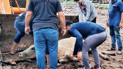 banner img