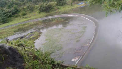 Goa: Heavy rain pushes Chapoli dam to full capacity