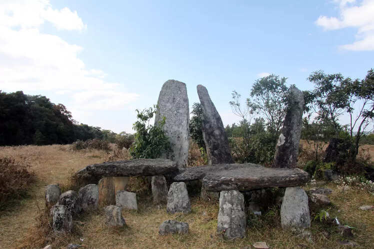 Mawphlang Sacred Forest, Meghalaya