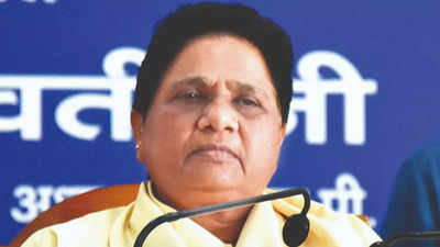 Mayawati tells party workers to gear up for assembly elections in other states