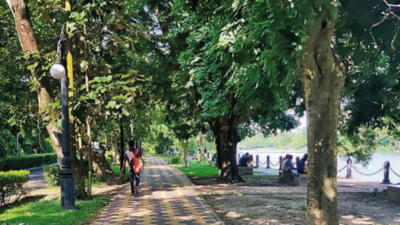 banner img