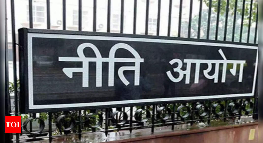 Niti Aayog bats for restricted e-bank licences – Times of India