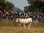 Tour de France