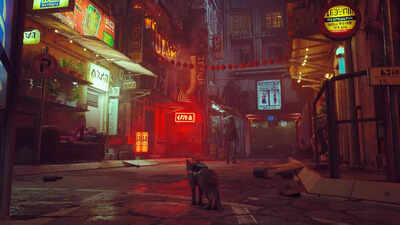 Viral video game allows users to experience the life of a stray cat