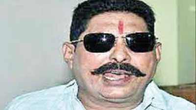 Patna: 10-year jail term for former RJD MLA Anant Singh in another arms recovery case
