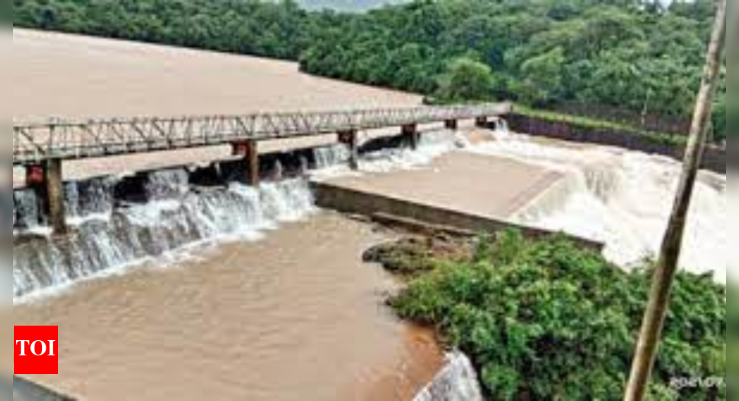 Kolhapur district dam water levels stable over past 2 days Kolhapur