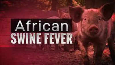 African swine fever cases confirmed at two farms in Kerala