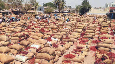 Karnataka: Over 15 lakh quintals sold at Byadagi chilli market