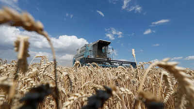 Ukraine, Russia sign deal to reopen grain export ports as war rages on