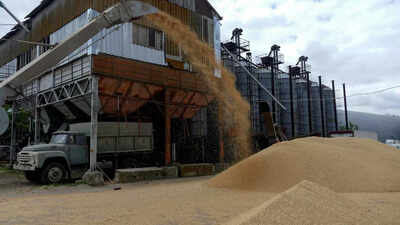 Ukraine, Russia sign deal to reopen grain export ports as war rages on