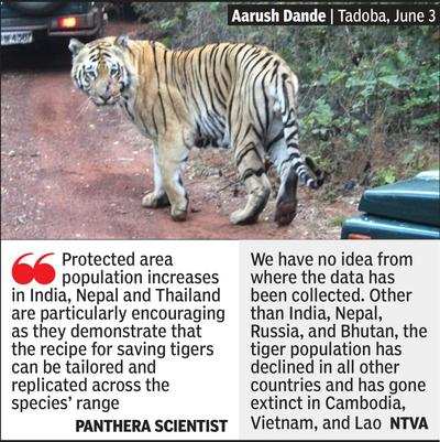 Global tiger numbers rise to 4,500 in last 7 years: Report