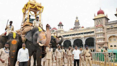 Karnataka: Mahouts, kavadis of Dasara jumbos demand hike in remuneration