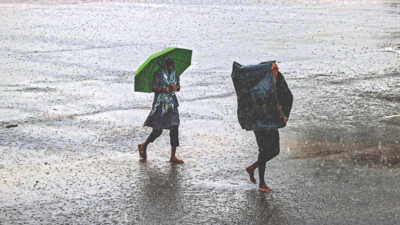 More rain in store, but no intense spell for 4 days in Gurugram: India Meteorological Department