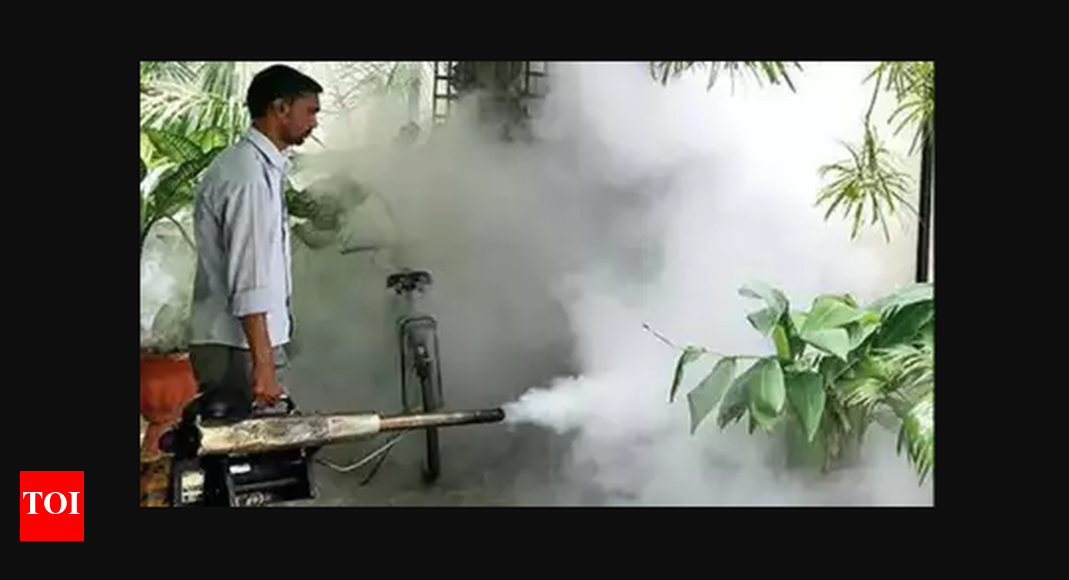 Antimosquito fogging drive resumes in Chennai Chennai News Times