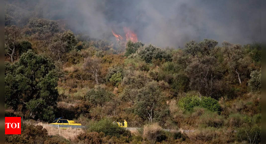 Neglected forests on the mercy of wildfires in Spain, Portugal – Situations of India