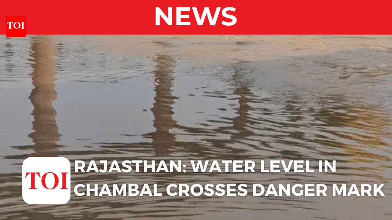 Rajasthan: Water level crosses danger mark in River Chambal