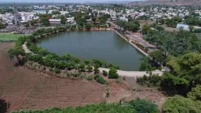 Parties banned at Bagalkot lake after discarded food leave fish dead