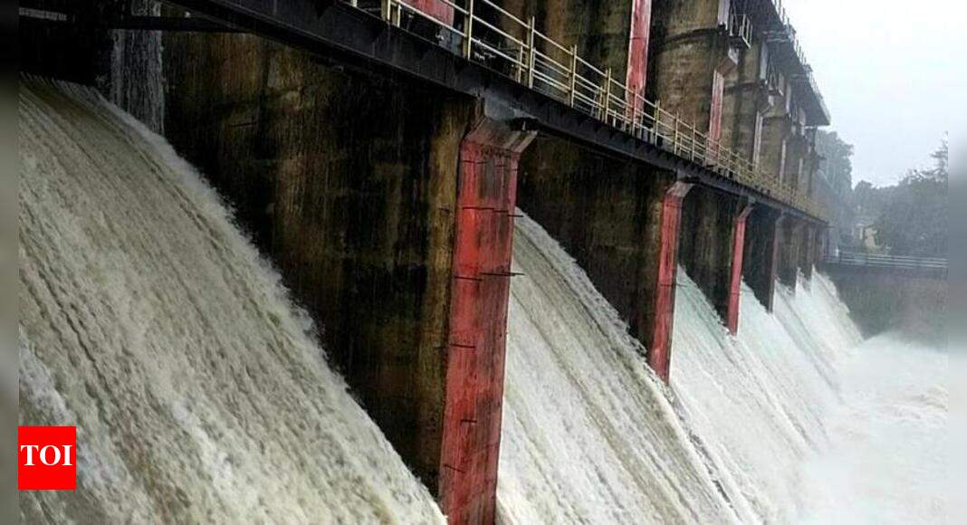 Gates of many dams opened as rain returns Nagpur News Times of India