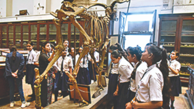 Kolkata: Students tour museum, get a peek into history