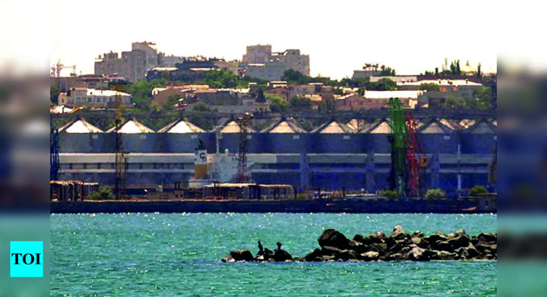 Odesa strike shows it will not be easy to export grain via ports: Ukraine – Times of India