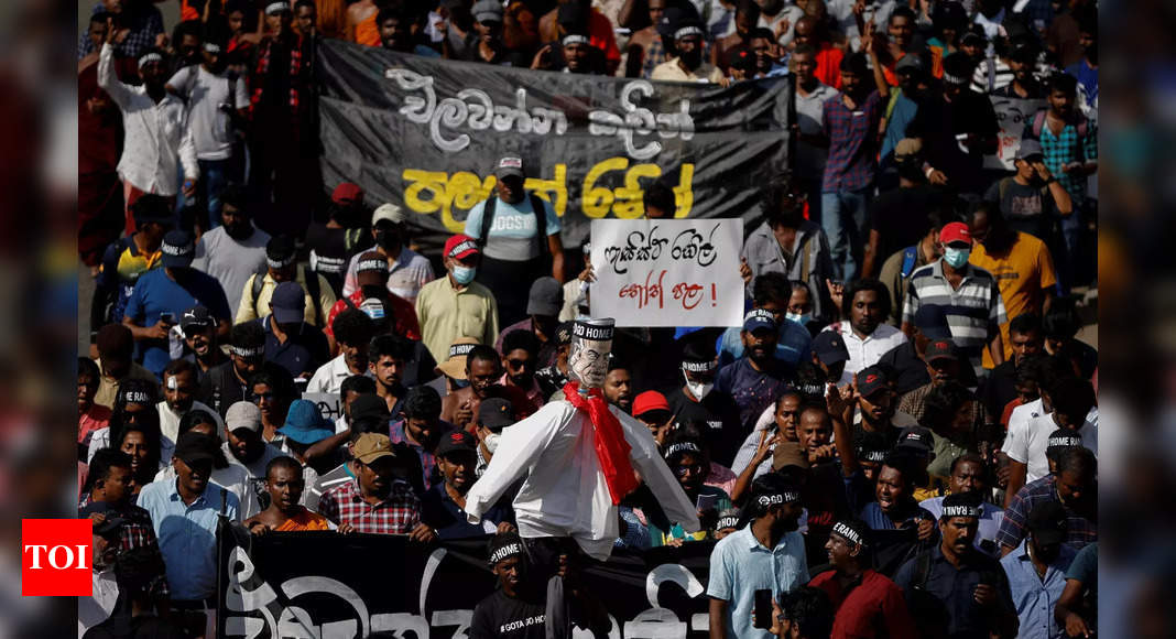 We will continue peaceful non-violent protests: Sri Lankan protesters – Times of India