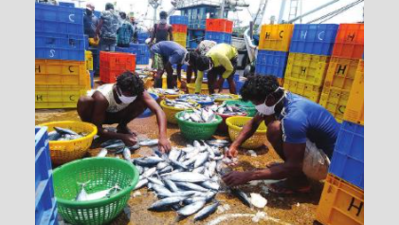 'In 2021-22, fisheries export rose by over 50%': Goa fisheries minister Nilkanth Halarnkar