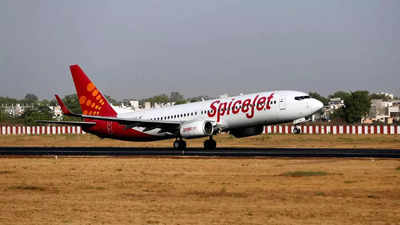 DGCA conducts spot checks on 48 SpiceJet aircraft; finds no major safety violation: Govt