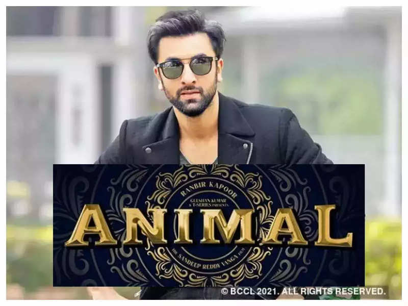 Ranbir Kapoor talks about 'Animal' with Sandeep Reddy Vanga; reveals it is  the most shocking role he has ever played | Hindi Movie News - Times of  India