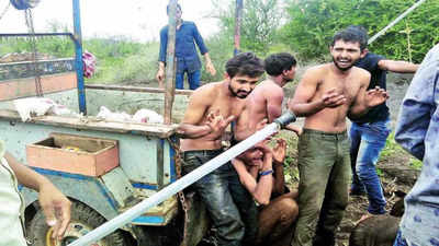 Gujarat: Four get bail in Una Dalit flogging case