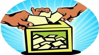 Goa: In 186 panchayats heading to polls, no booze sale after 10pm