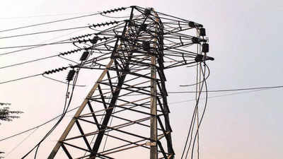 Two women die of electrocution in farm in Gujarat