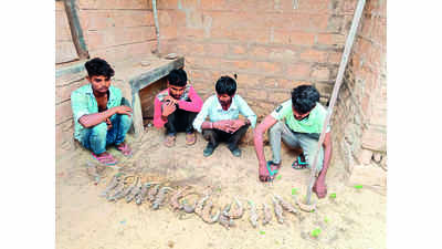 4 poachers caught with spiny tailed lizards in Jaisalmer