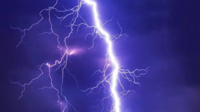Lightning strikes claim 20 lives in 8 districts of Bihar