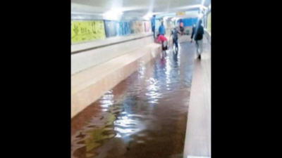 Bengaluru: Sewage water enters subway at Krantivira Sangolli Rayanna station