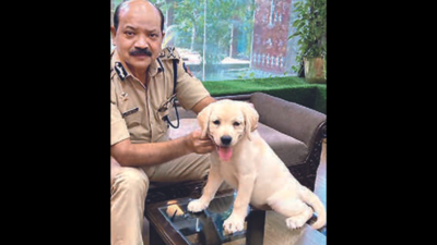 Navi Mumbai: 2-month-old pup recruited in bomb squad