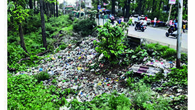 Garbage dumping in plots raise health concerns in Dehradun