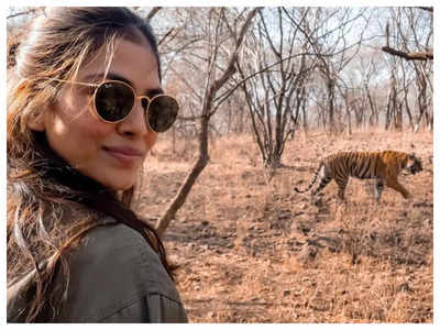 Malavika Mohanan: India is one of the best places to spot tigers