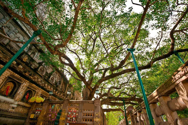 Bodh Gaya