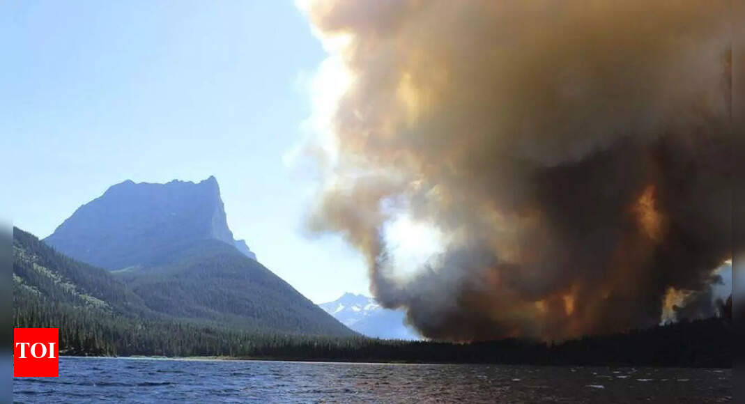 Montana Wildfire Burning In Western Montana Forces Evacuations Times Of India 9171