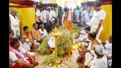 Every August, Goans reap first crop and sense of unity
