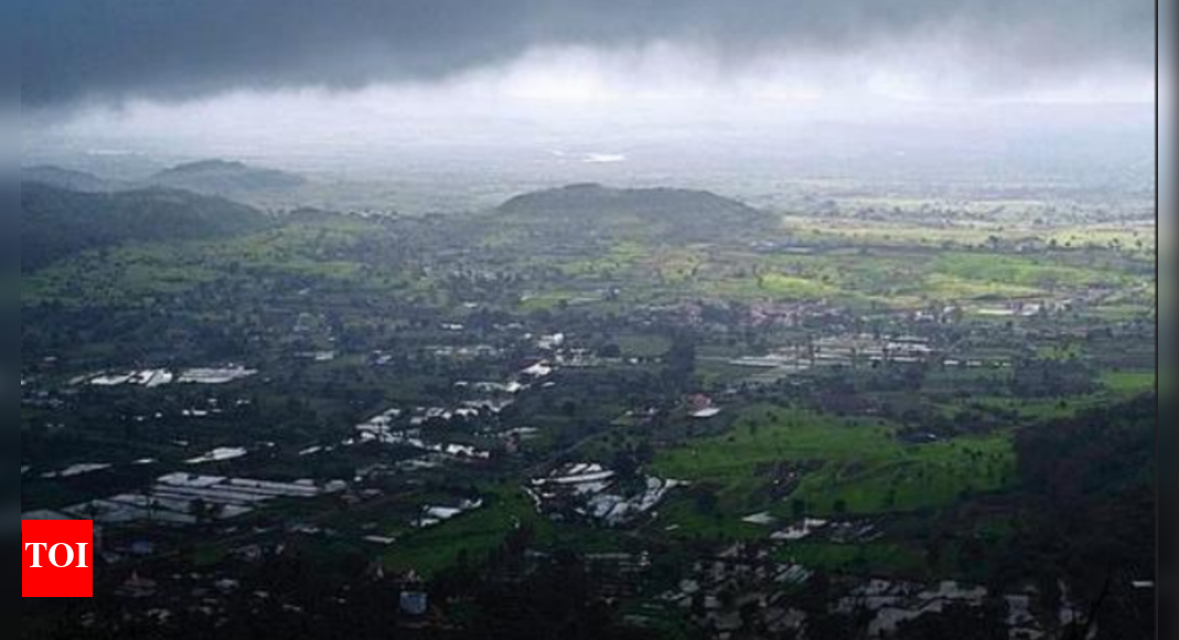 Maharashtra Maharashtra govt to issue unique land identification